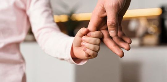 img paternity img paternity